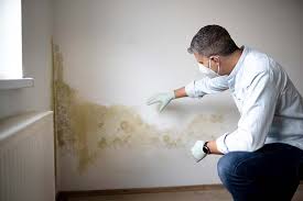 Best Real Estate Mold Inspection  in Berry Hill, TN